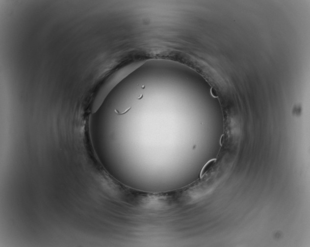 X0000102830664200808181325