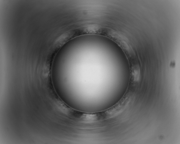 X0000102830665200808181325