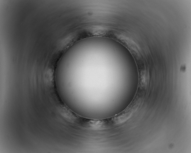 X0000102830667200808181325