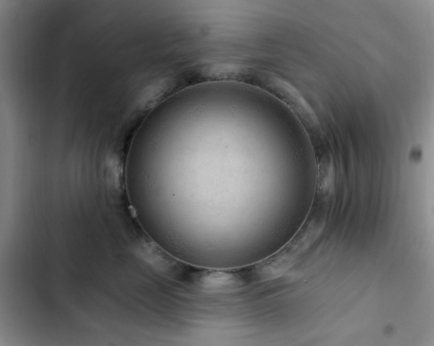 X0000102830669200808181325