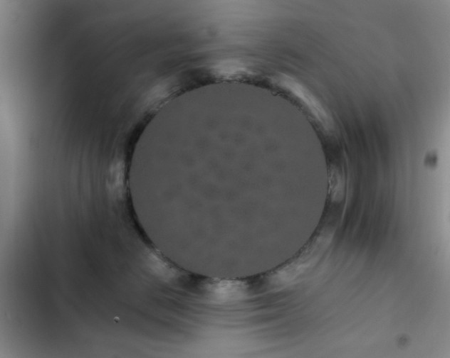 X0000102830670200808181325