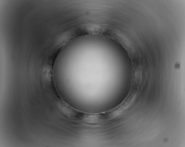 X0000102830671200808181325