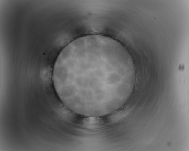 X0000102830672200808181325