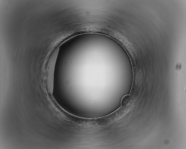 X0000102830673200808181325