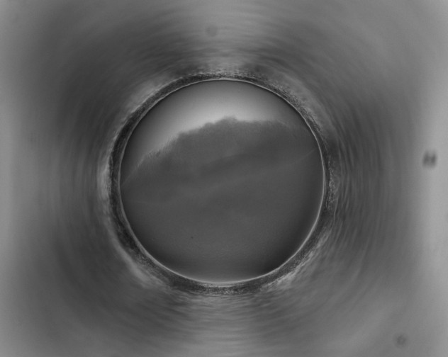 X0000102830674200808181325