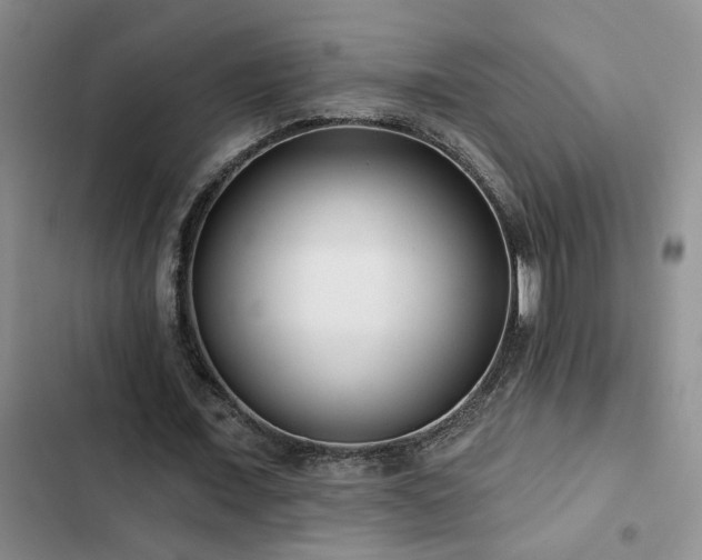 X0000102830675200808181325