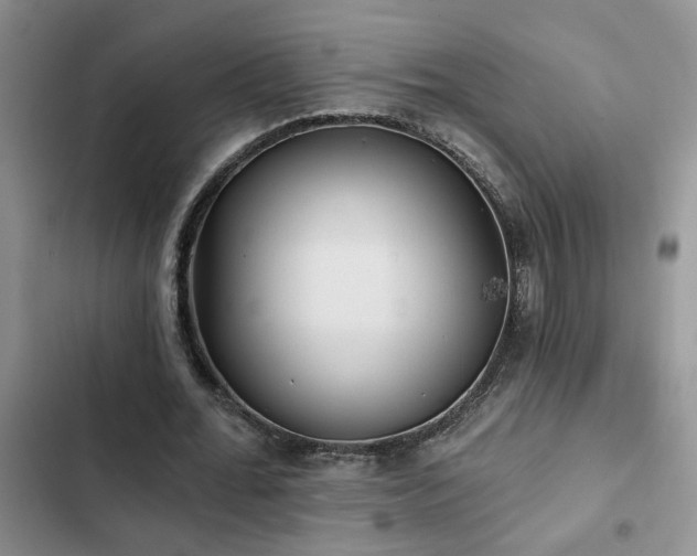 X0000102830676200808181325