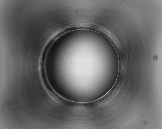 X0000102830677200808181325