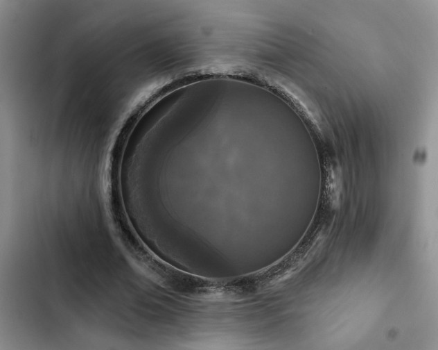 X0000102830678200808181325