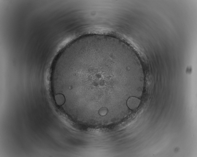 X0000102830679200808181325