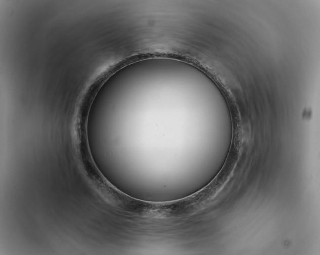 X0000102830680200808181325