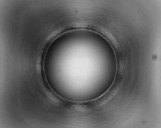 X0000102830681200808181325