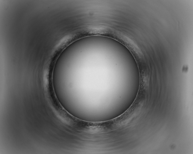 X0000102830686200808181324