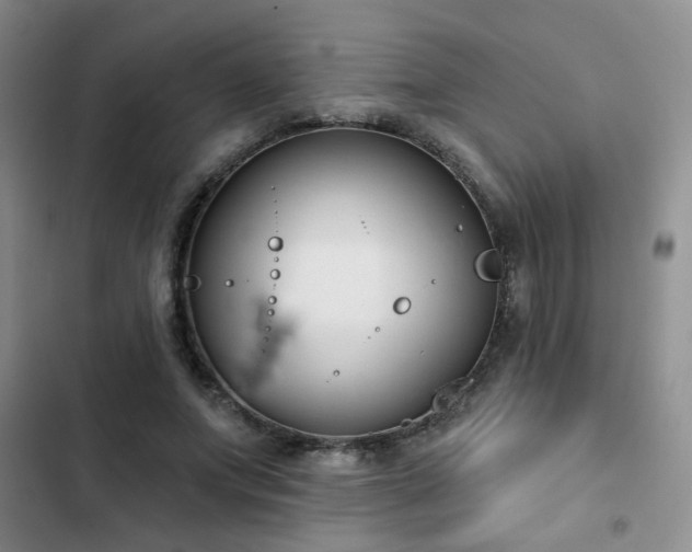 X0000102830687200808181324