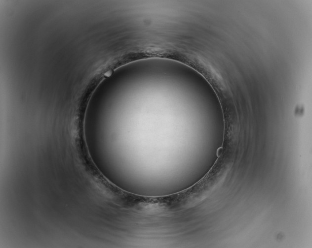 X0000102830689200808181324