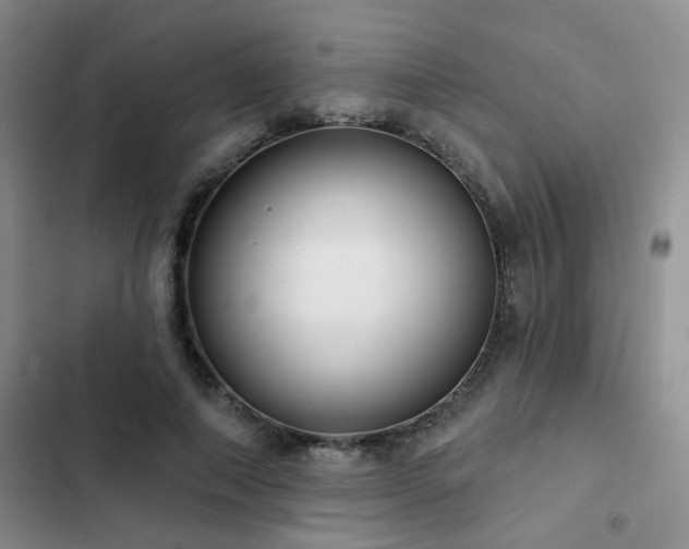 X0000102830690200808181324