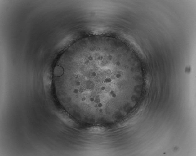 X0000102830691200808181324