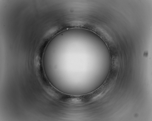 X0000102830692200808181324