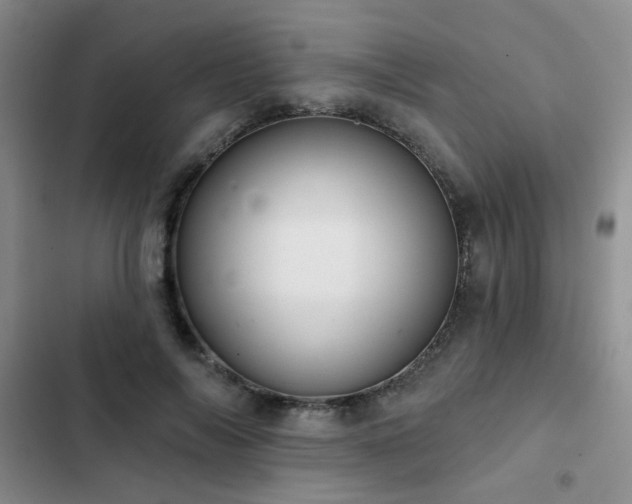 X0000102830694200808181324