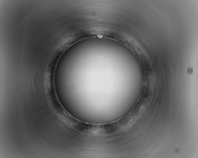 X0000102830696200808181324