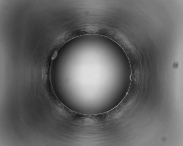 X0000102830697200808181324