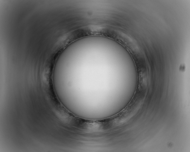 X0000102830698200808181324