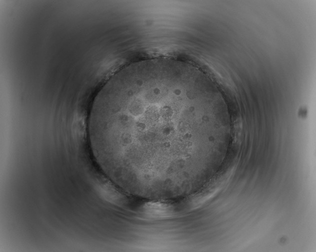 X0000102830699200808181324