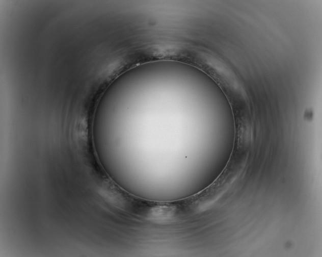 X0000102830700200808181324