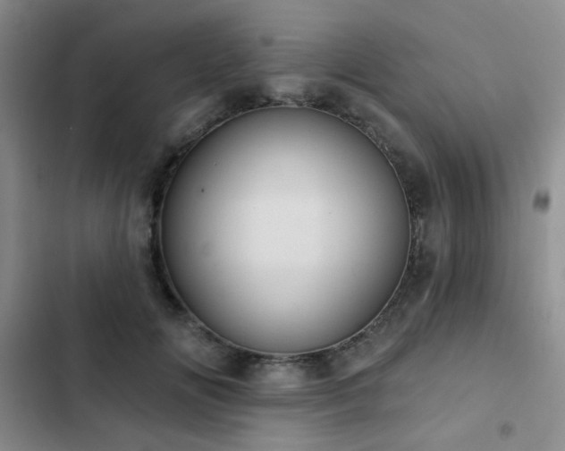 X0000102830702200808181324