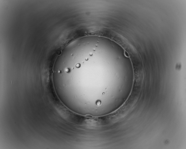 X0000102830703200808181324