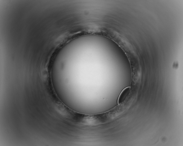 X0000102830704200808181324