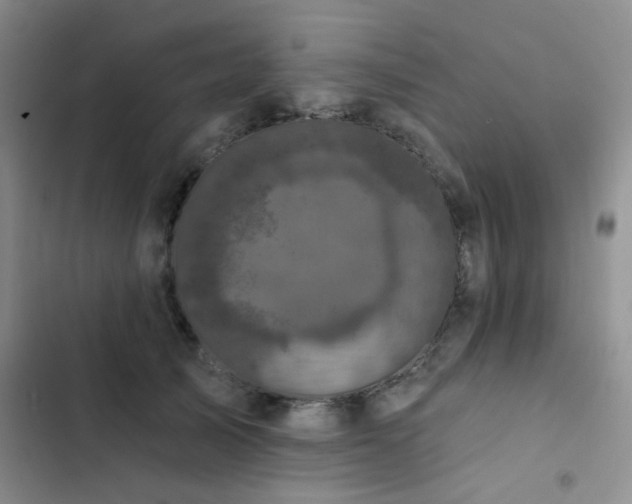 X0000102830705200808181324