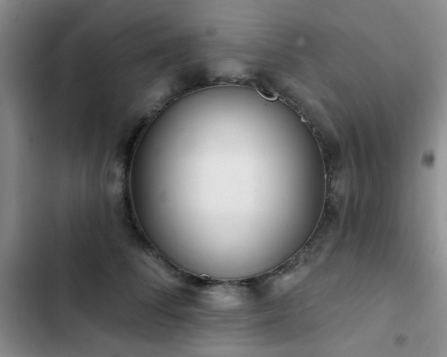 X0000102830708200808181324