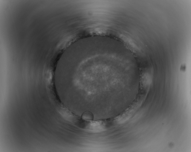 X0000102830709200808181324