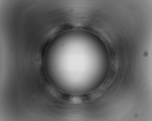 X0000102830710200808181324