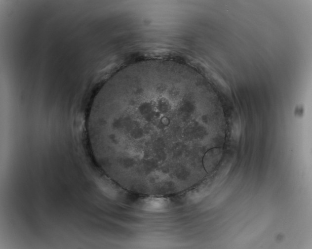 X0000102830711200808181324