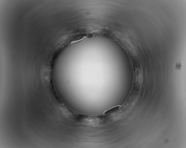 X0000102830712200808181324