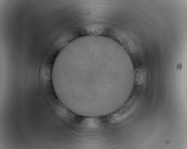 X0000102830713200808181324