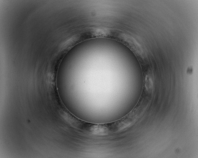 X0000102830714200808181324