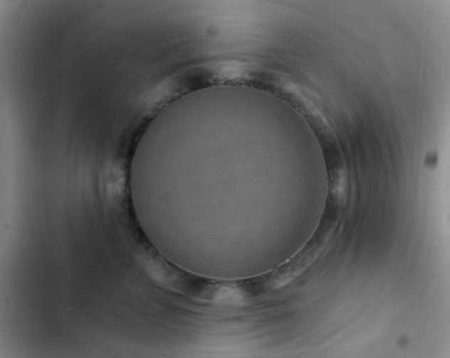 X0000102830715200808181324