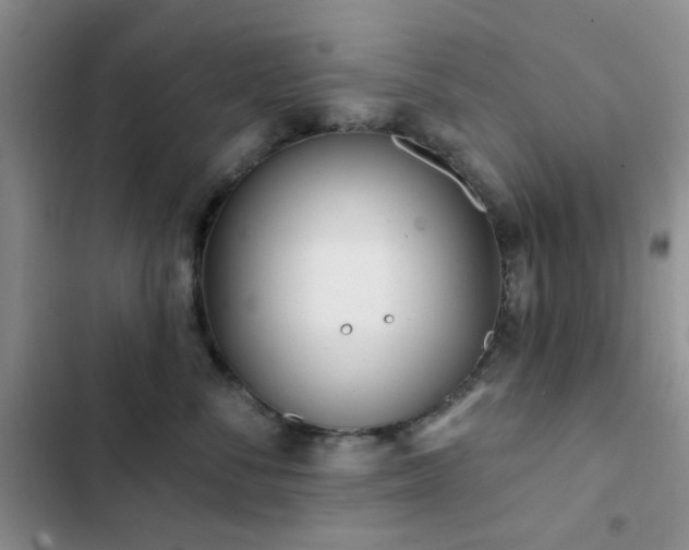 X0000102830716200808181324