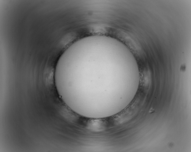 X0000102830717200808181324