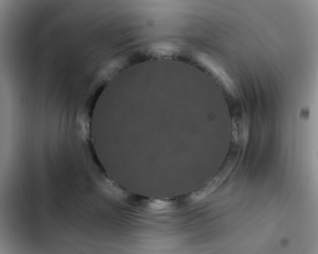 X0000102830718200808181324