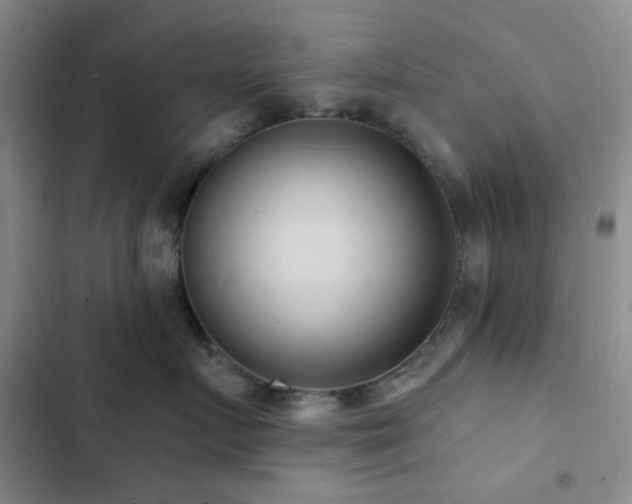 X0000102830719200808181324