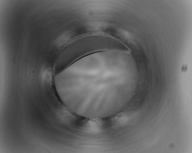 X0000102830720200808181324