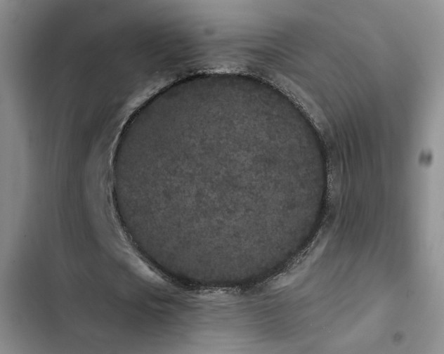 X0000102830721200808181323