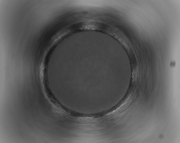 X0000102830722200808181323