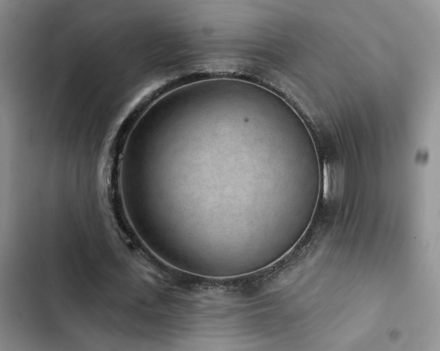 X0000102830723200808181323