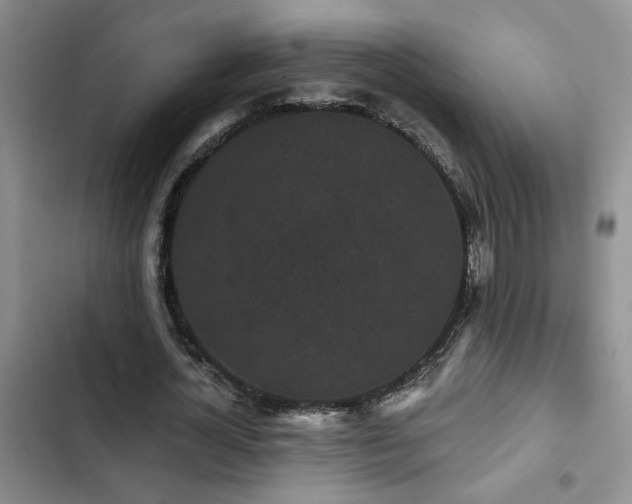 X0000102830724200808181323