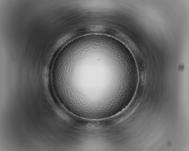 X0000102830725200808181323